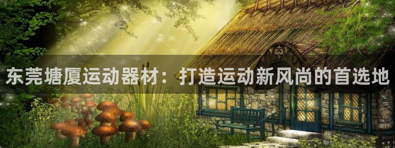 球王会官方集团官网：东莞塘厦运动器材：打造运动新风尚
