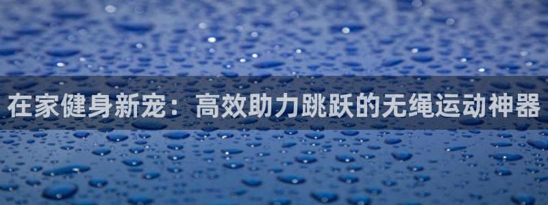 球王会体育官方正版app代理：在家健身新宠：高效助力