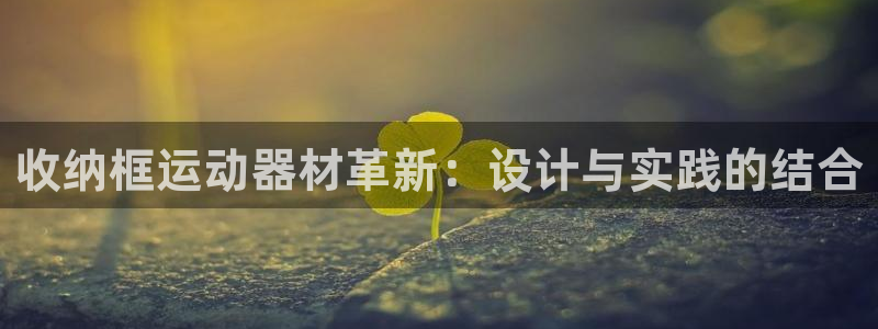 球王会体育官方正版app官方：收纳框运动器材革新：设