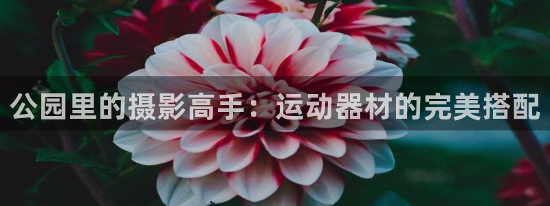 德国球王会体育官方正版app集团：公园里的摄影高手：运动器材