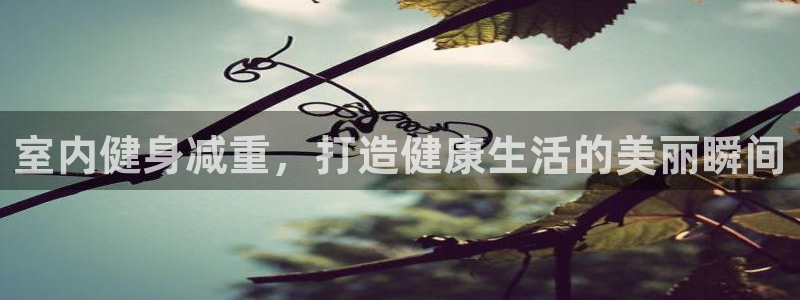 注册球王会体育官方正版app：室内健身减重，打造健康生活的美