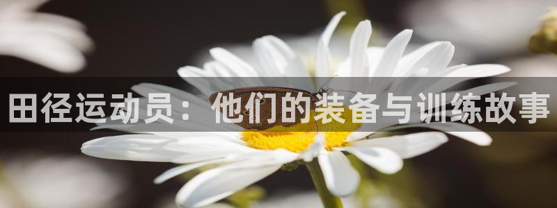 球王会体育官网下载招商电话是多少：田径运动员：他们的装备与训