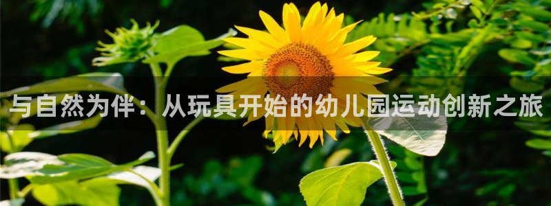 球王会体育官网下载软件：与自然为伴：从玩具开始的幼儿园运动创