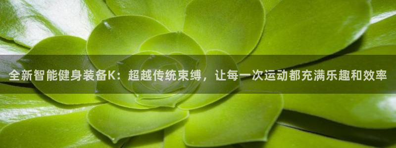 球王会体育官网下载平台：全新智能健身装备K：超越传统束缚，让