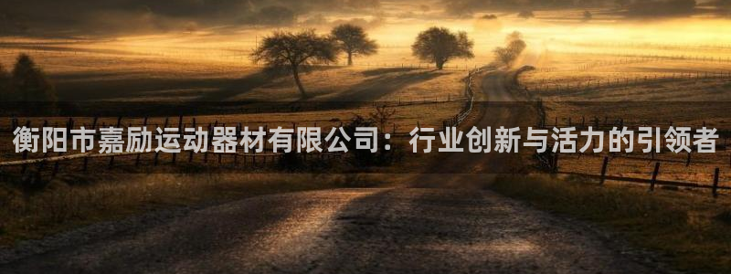 球王会体育官网下载平台注册流程图：衡阳市嘉励运动器材有限公司