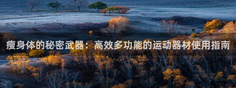 球王会体育官网下载官方客服电话：瘦身体的秘密武器：高效多功能