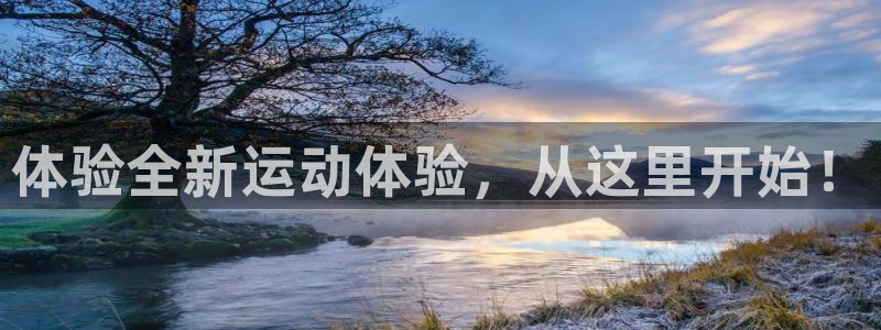 球王会体育官方正版app集团logo：体验全新运动体验，从这