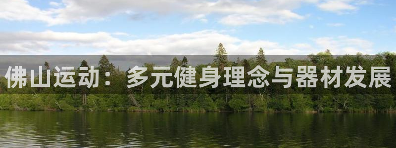 球王会体育官方正版app集团简介