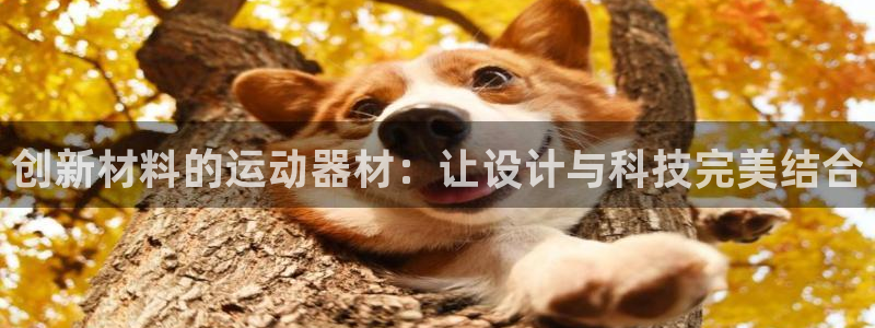 球王会体育官网下载平台注册要钱吗是真的吗：创新材料的运动器材