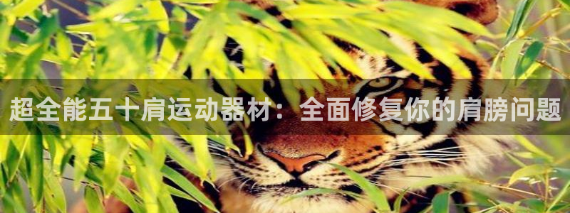 球王会体育官方正版app官网：超全能五十肩运动器材：全面修复