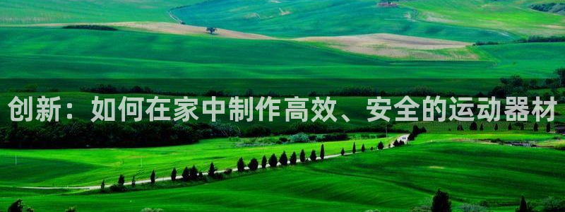 球王会体育官网下载软件：创新：如何在家中制作高效、安全的运动